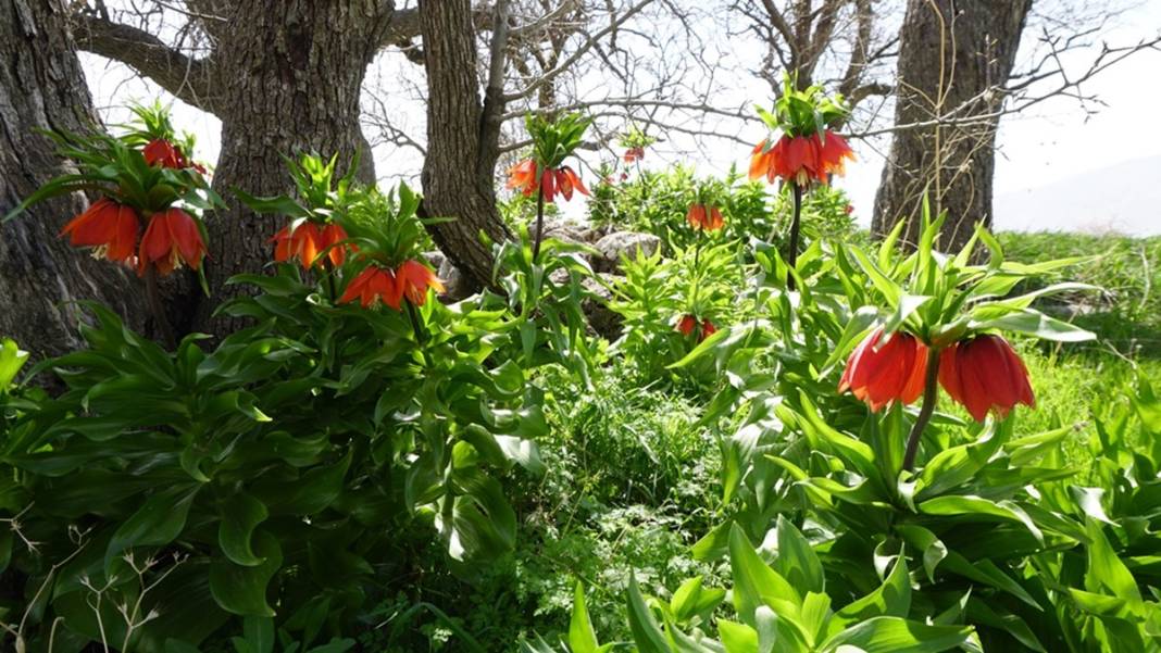 Bu insanlar neye bakıyor? Gece-gündüz nöbet tutuyorlar, ilk kez görenler şaştı kaldı! 25